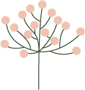 Animation feuille en vol – symbole de liberté et de légèreté